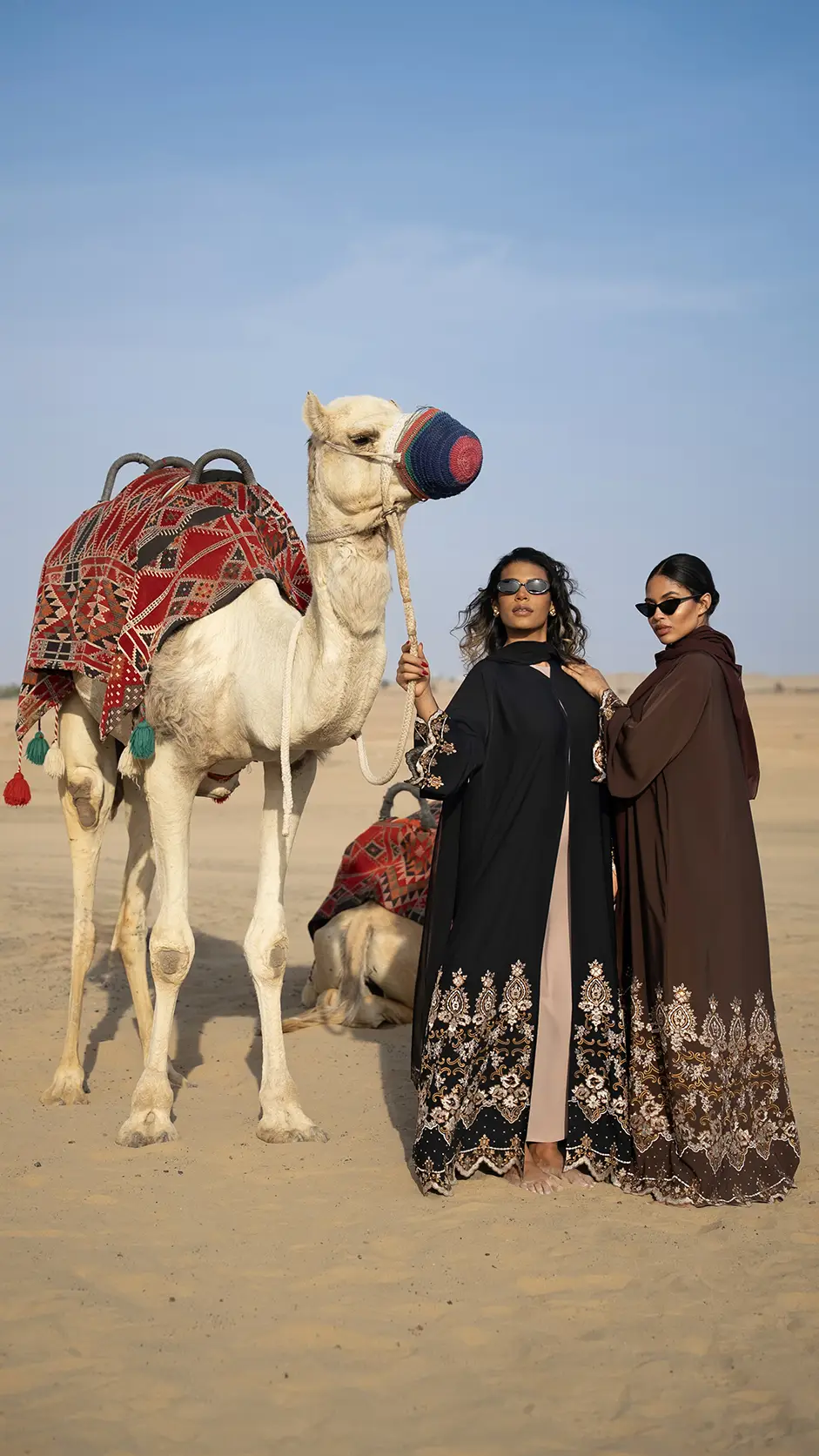 Computer Machine Embroidery Nida Abaya with Stones